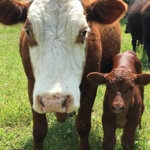 Meet your Posher, Scott